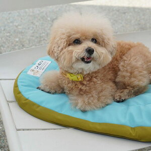 [yiCANDORzURBAN NEST CUSHIONiMINTj ؍ pi hbOObY pNbV hbONbV NbV hbOxbh pxbh xbh ybgNbV