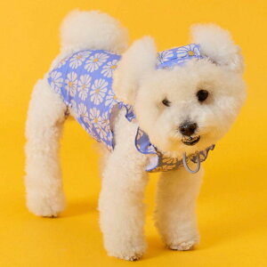 \̔ymunikundzMUNIKUND × POSITIVE PENGUIN Swim weariSky Bluej pi hbOObY hbOEFA  ̕ ^ ^ ^ ^ ^