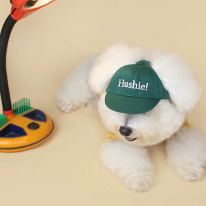 \̔yCRRzHushie Dog Cotton Capi4Colorj pi hbOObY hbOEFA  ̕ ^ ^ ؍  낢