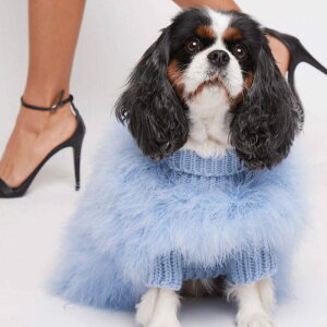 [ymax bonezChristian Cowan x maxbone Jumperilight bluej  hbOEFA ̕ ^ ^ AJ pi hbOObY X[uX t t