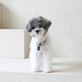 ※予約販売【maison de miu】Pet Collar (Indian Blue / Yellow) 韓国 ブランド かわいい おしゃれ プレゼント 小型犬 首輪 タオル NEW 春 夏