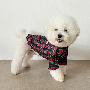 \̔yCRRzRose Frill Half TopiBlackj ؍ pi hbOObY TVc X[uX hbOEFA  ̕ ^ ^