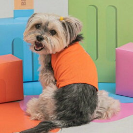 ※予約販売【BITE ME】Ice cool-rop T-shirt（Orange） 韓国 ブランド かわいい おしゃれ プレゼント 小型犬 NEW 春 夏 秋 ペット用品