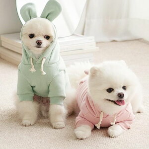 [yWzoj[t[fB[isNj ؍ uh 킢  v[g ^ NEW t H ~