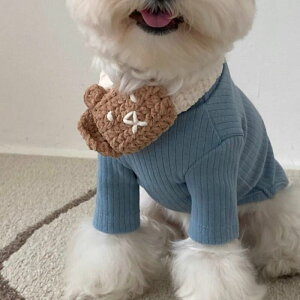 \̔yBonjour TOU-TOUzHI!Bear Knit muffler ؍ uh 킢  v[g ^ NEW H ~