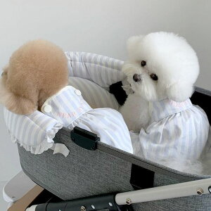 \̔ynear by uszsherbet stroller set(blue) ؍ uh 킢  v[g ^ obO NEW NbV