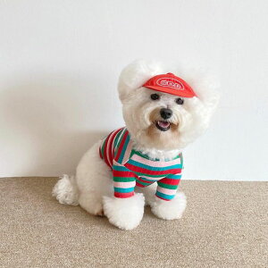 \̔yCRRzCRR Dog Nylon Capi6colorj pi hbOObY hbOEFA  ̕ ^ ^ ؍  낢