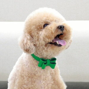 ���[�ymaison de miu�zSoft Ribbon Collar�iGreen�j ���p�i �h�b�O�O�b�Y ��� �h�b�O�J���[ ����� ���p��� ���{�� ���U�[ �S�[���h �V���o�[