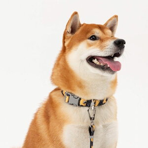 \̔yandblankzICONIC Joy Bear CollariBlackj ؍ pi hbOObY  hbOJ[  p ̎ [h p[h