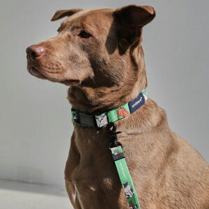 \̔yandblankzMilk Cow Neck CollariJoule Greenj ؍ uh 킢  v[g ^  [h UObY NEW ^ v ^ 