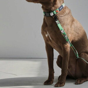 \̔yandblankzMilk Cow Neck CollariJoule Greenj ؍ uh 킢  v[g ^  [h UObY NEW ^ v ^ 