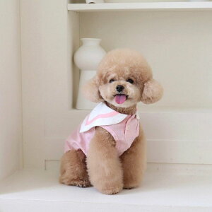 [yChiotzPastel linen cape topiPinkj  hbOEFA ̕ X[uX pi hbOObY ^ ^ t 