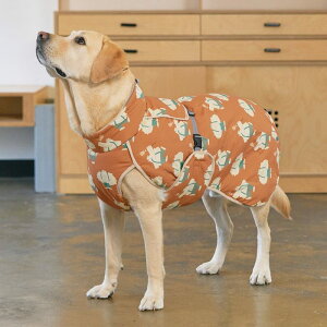 [ymunikundzThermal Up Padding iBrownj  hbOEFA ^ ^ ^ t ĕ H ~ h ʋC