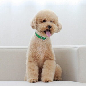 \̔ymaison de miuz Heart Pearl CollariGreenj ؍ uh 킢  v[g ^  ^I UObY NEW