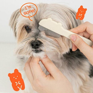 [yBITE MEzJellybear round face comb ؍ pi hbOObY R[ XbJ[ pR[ pXbJ[ ̃R[ ̃XbJ[ g~OR[ tFCXuV puV ̃u