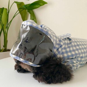 \̔yBonjour TOU-TOUzFrench all in one rain coatiBluej ؍ uh 킢  v[g ^ n[lX CR[g UObY NEW t  H o y J