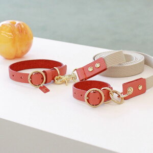 \̔ymaison de miuzHands Free Full SetiCoralj ؍ uh 킢  v[g ^  [h ^I UObY NEW y ֗  ̎