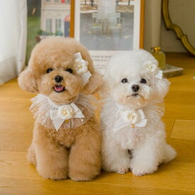 ※予約販売【Pets&Me】メリーミーケープ 韓国 ブランド かわいい おしゃれ プレゼント 小型犬 ケープ NEW 大型犬 犬 猫 大型犬
