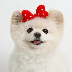 ���[�yITS DOG�zPretty Ribbon Hairband �؍� ���p�i �h�b�O�O�b�Y �h�b�O�E�F�A ���� ���̕� ���^�� ���^���� �����s�[�X �h���X