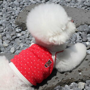 [yDURANG RURANGzDot Teddy Bear TopiRedj  hbOEFA ̕ ^ ^ t  H t ĕ