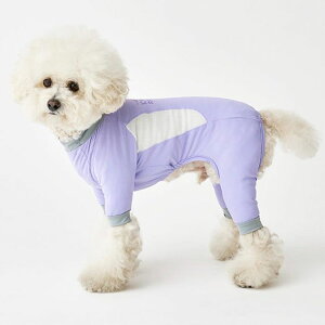 [yiCANDORzOCEAN SUITiLAVENDERj  hbOEFA ̕ ؍ pi hbOObY ^ ^ t 