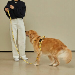 \̔yandblankzSpongeBob Proright Harness ؍ uh 킢  v[g ^  n[lX [h UObY LN^[ NEW ^ v ֗ ^