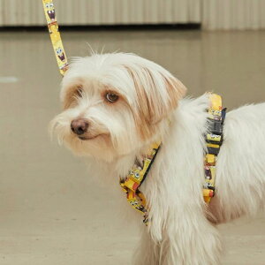 \̔yandblankzSpongeBob Proright Harness ؍ uh 킢  v[g ^  n[lX [h UObY LN^[ NEW ^ v ֗ ^