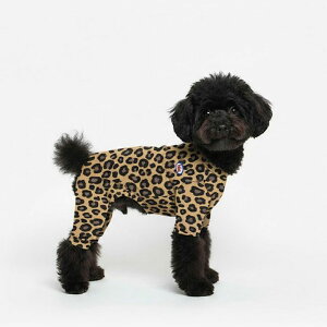 [yTUSTUSzLeopard All In OneiBrownj  hbOEFA ̕ ^ ^ pi hbOObY ؍ t 