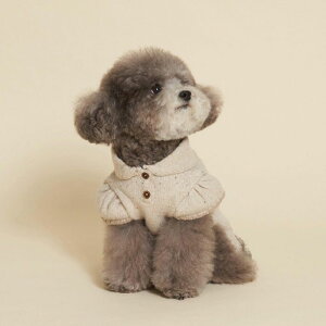 \̔ymeaninglesszScarf Knit  hbOEFA ̕ pi hbOObY ؍ H ~ h H