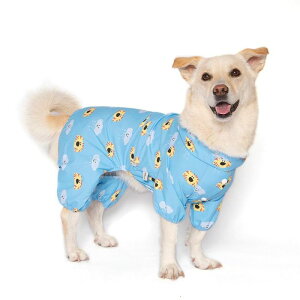 ���\��̔��ynoonoosoom�zNoonoo Buddy Rain Suit�iSky�j ���� �h�b�O�E�F�A ���̕� ���^���� ���^�� ���p�i �h�b�O�O�b�Y �؍� ���C���R�[�g �U���O�b�Y