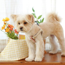 ※予約販売【maison de miu】 Running Mate Harness（White / Rose Pink） 韓国 ブランド かわいい おしゃれ プレゼント 小型犬 ハーネス うちの子グッズ うちの子 タオル 散歩グッズ NEW 犬