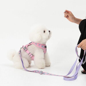 [yandblankzICONIC Jelly Phant Hands Free LeashiPinkj ؍ pi hbOObY  n[lX [h UObY Upi ̎ ̃n[lX
