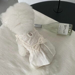 \̔yHi YeboozAlice Collection one-piece ؍ uh 킢  v[g ^ s[X hX NEW t  H