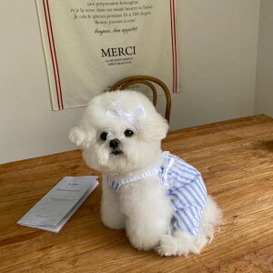 \̔yHi YeboozComo Collection Blue(Nbv/p[X)  hbOEFA ̕ ^ ^ t  t ĕ ʋC