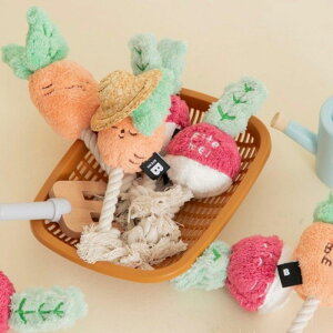 \̔yBITE MEzRoot Vegetable Toys pi hbOObY  mߋ ̂  ؍ [v v XgX |GXe