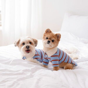 \̔ynouttizMERCI STRIPE T-SHIRTiBluej  hbOEFA ̕ ^ ^ TVc X[uX t t pi