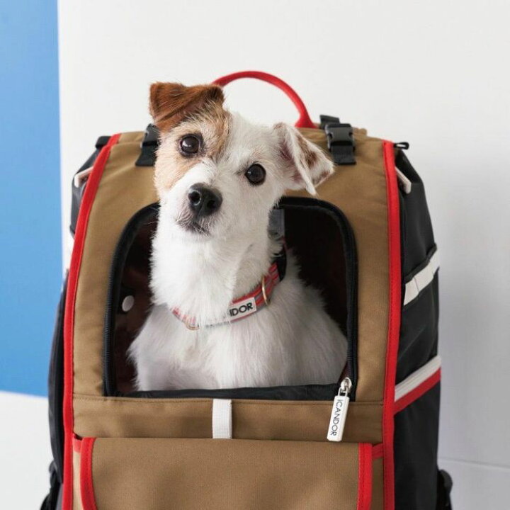 楽天市場】即納【iCANDOR】JIGE bag（Vivid Khaki） バッグ 犬用バッグ 