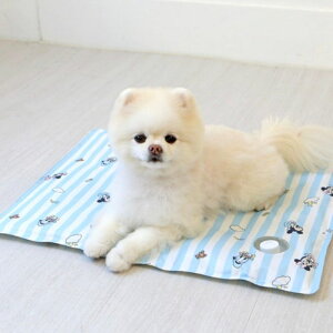 [yITS DOGzDisney Fresh Cool Gel MatiFriends Bluej ؍ pi hbOObY }bg }bg ybgp}bg ybg}bg p}bg fBYj[ disney