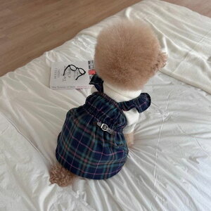 \̔yFREDDIE TALEzLondon Check OpsiBluej  hbOEFA ̕ ^ ^ s[X ؍ pi hbOObY H
