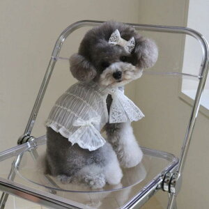 \̔yHi YeboozWhite Collection- Lily OpsiWhitej ؍ pi hbOObY s[X hbOEFA  ̕ ^ ^ t