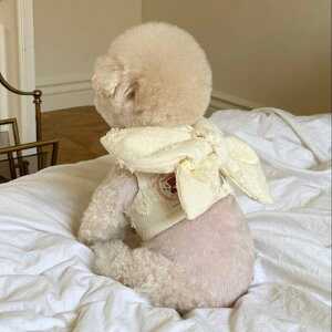 [ymeaninglesszButterfly Harness pi hbOObY hbOEFA  ̕ ^ ^ n[lX ̃n[lX hbOn[lX