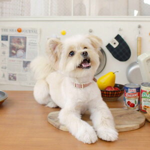 \̔ymaison de miuzSquare Pearl CollariPinkj   ̎ hbOJ[  U[ p xg^Cv 킢 U[J[ v  p[ ؍ uh 킢 