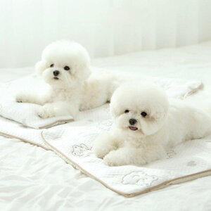 [yITS DOGzForpe Cooling Mat ؍ pi hbOObY }bg }bg ybgp}bg ybg}bg p}bg  ĕ