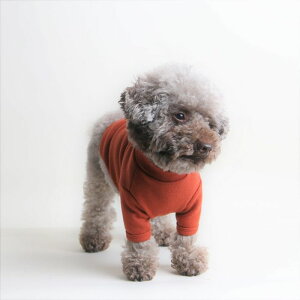 [yOriginalzx[VbNN[lbNJbg\[iuEj ؍ uh 킢  v[g ^ NEW t  H