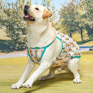 \̔ymunikundzBug Guard-T M-BandiYellowj  hbOEFA h ⊴ R ^ ^ ^ t ĕ