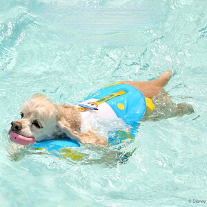 \̔yITS DOGzDisney Life JacketiDonaldj ITS DOG Disney hih fBYj[ CtWPbg ؍ pi hbOObY  ̕