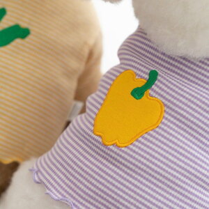 [yDAzBorder Crop Top ipvJj ؍ uh 킢  v[g ^ NEW t  H 