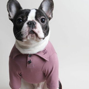 [yZOOBICOzNVbN|"VPbg"gbvXi_XeBsNj ؍ uh 킢  v[g ^  s[X NEW t  H