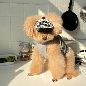 [yFREDDIE TALEzLOVE FETCHER GINGHAM BALL CAPiBlackj ؍ pi hbOObY hbOEFA  ̕ ^ ^ MK`FbN Rbg