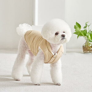 [yWz}J}t[_ExXginj[x[Wj ؍ uh 킢  v[g ^ NEW H ~ y 